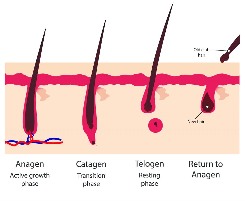 Thinning Hair treatments Eldersburg | Sykesville, MD | Vitality Aesthetics